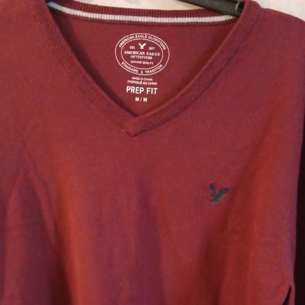 American Eagle Outfitters Red V-Neck Sweater